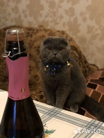 Вязка Вязка