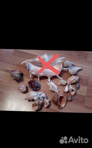 Принадлежности для аквариума набор ракушек,рыба фу