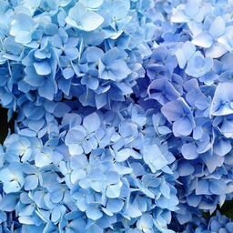 Пользователь