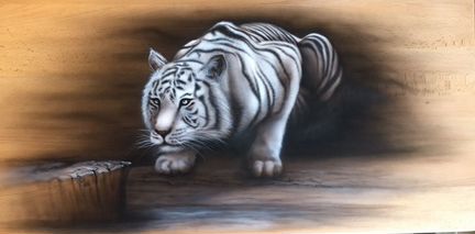 Аэрография на авто,роспись стен и других поверхнос