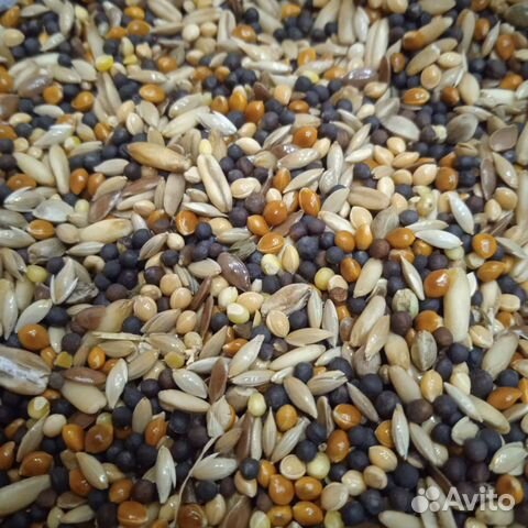 Корм для канареек