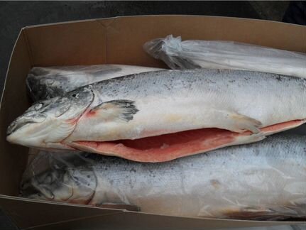 Заморозка Рыба, Ягоды, Масло, Индейка