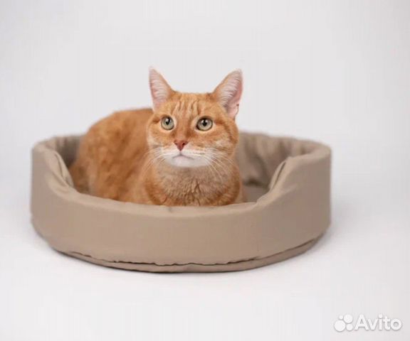 Лежанка для кошек и маленьких собак