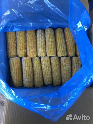 Сладкая кукуруза