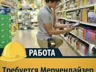 Мерчендайзер маршрутный Нижегородский район объявление продам