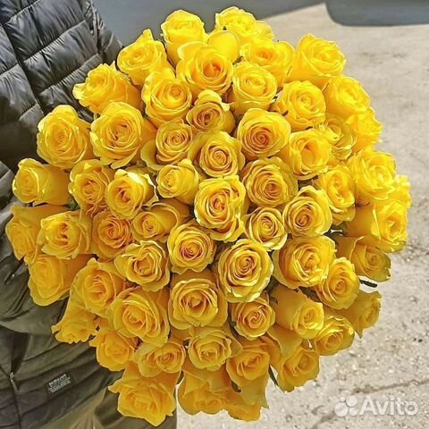 Букет свежих роз 51 шт