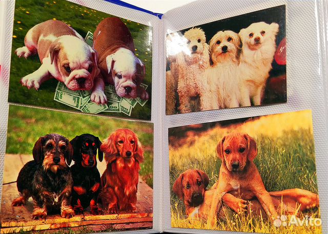 Коллекция собак в альбоме открытки и календарики