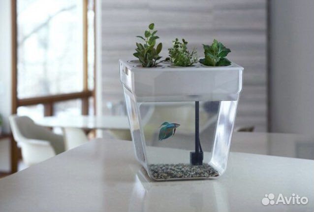 Акваферма. Аквариум. Новый.Экоаквариум. Флорариум