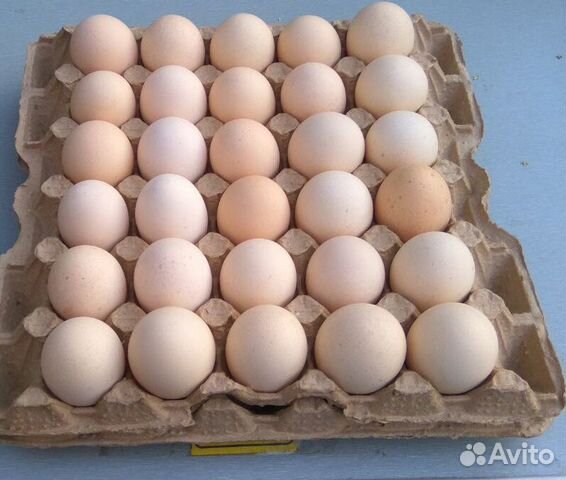Кремовые яйца. Яйцо кремовое. Коробка яиц 360 шт Белоречка.