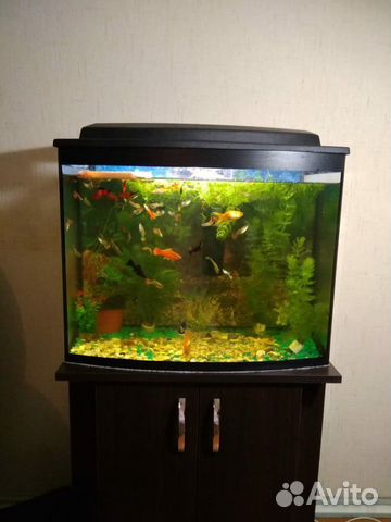 Аквариумы 85 литров с крышкой и светом