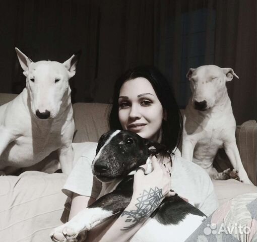 Зоогостиница, передержка, зоотакси