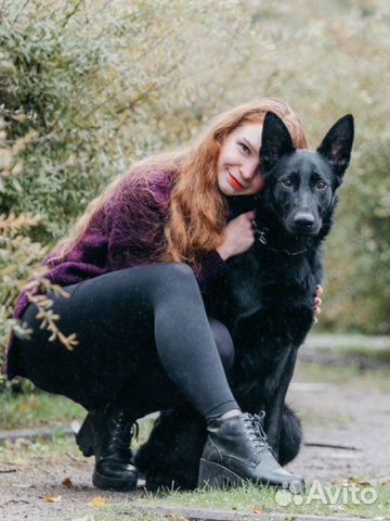 Дрессировка собак, услуги кинолога