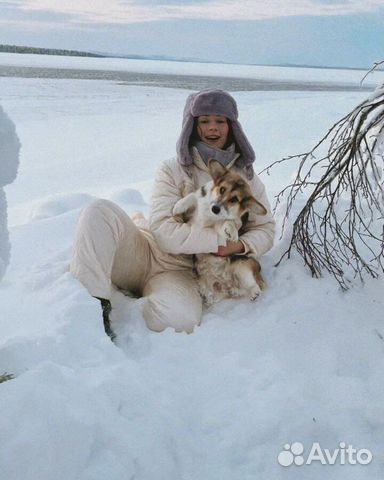 Выгул собак; няня для собак, кошек и черепах