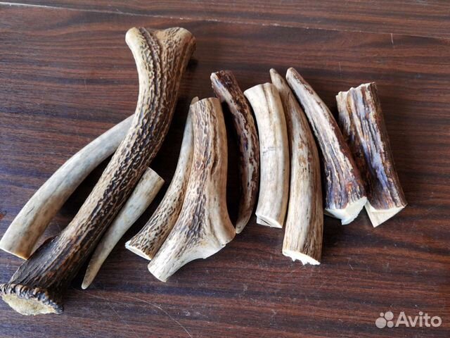 Рога для рукоятки, подделки. Заготовка