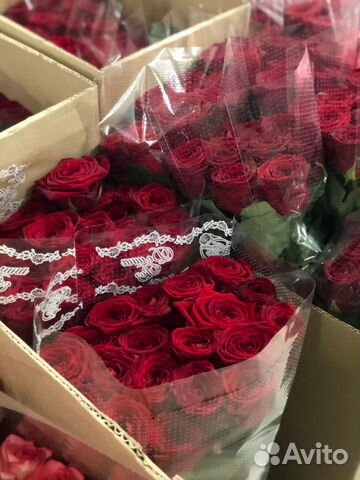 Роза Red Naomi 50 см. Поштучно