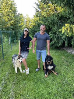 Передержка собак и кошек