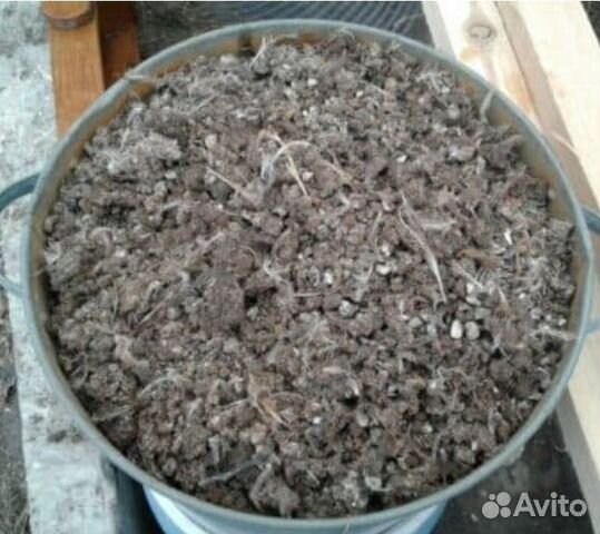 Безвозмездно перепелиный помёт