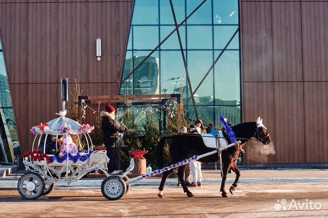 Прокат лошадей на ваш праздник