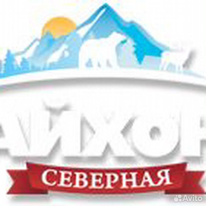 Чайхона талнах. Чайхона северная дудинка. Чайхона северная норильск. Чайхона на донецкой белгород. Чайхона северная дудинка.