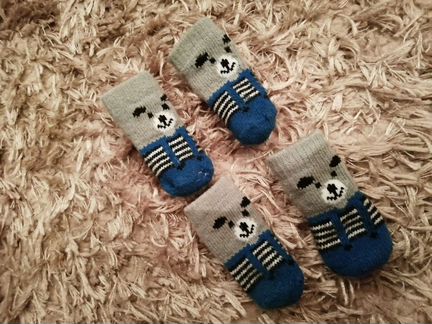 Носки для собак