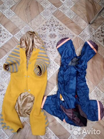 Одежда для собак