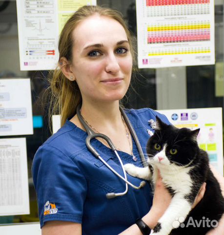 Ветеринар на дом. Ветеринарный врач