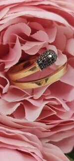 Золотое кольцо. Новое