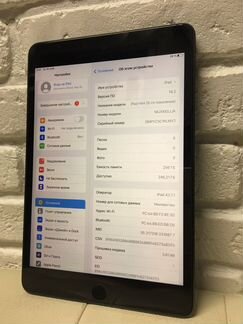 iPad Mini 5 2019 256Gb LTE шикарный
