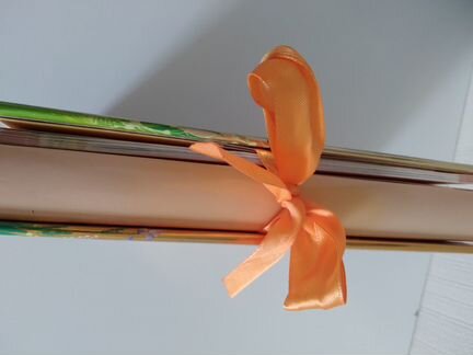 Учусь ухаживать за котенком, книга