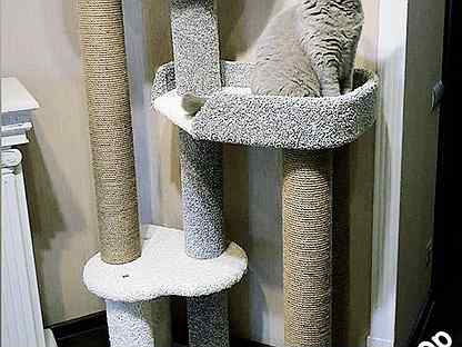 когтеточка домик для кошек воронеж