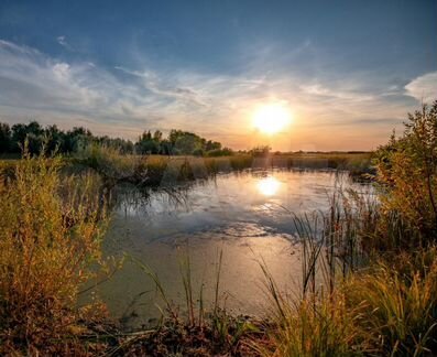 Фото на холсте. Печать картин и портретов. Арт-903