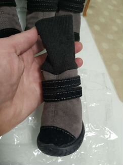 Сапоги для собак некрупных пород