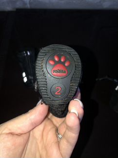 Обувь для собаки