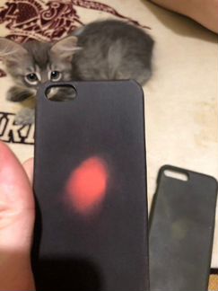 Термо чехол на iPhone 7+/8+, на 5/5s есть тоже