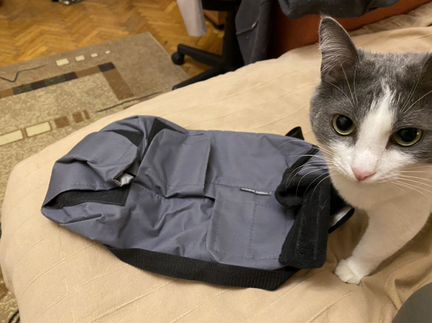 Сумка фиксатор для кошки до 2 кг