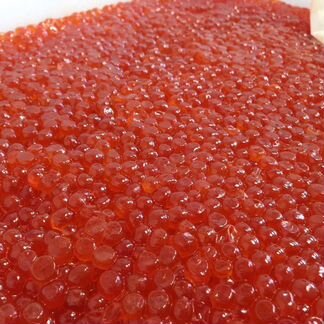 Красная икра