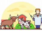 Искусственное осеменение коров перевозка животных