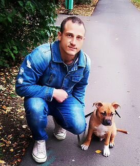 Кинолог. Дрессировка собак