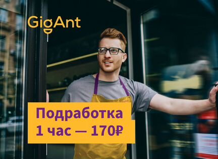 Мерчендайзер-грузчик (подработка)