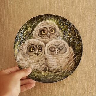 Wedgwood тарелка короткошёрстные совы, Англия