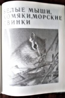 А.Онегов - школа юннатов