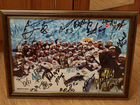 Автографы с фото хоккейной команды Металлург объявление продам